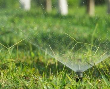 Twój ogród podlewa się sam: sprytne pomysły na zautomatyzowane, inteligentne nawadnianie