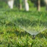 Twój ogród podlewa się sam: sprytne pomysły na zautomatyzowane, inteligentne nawadnianie