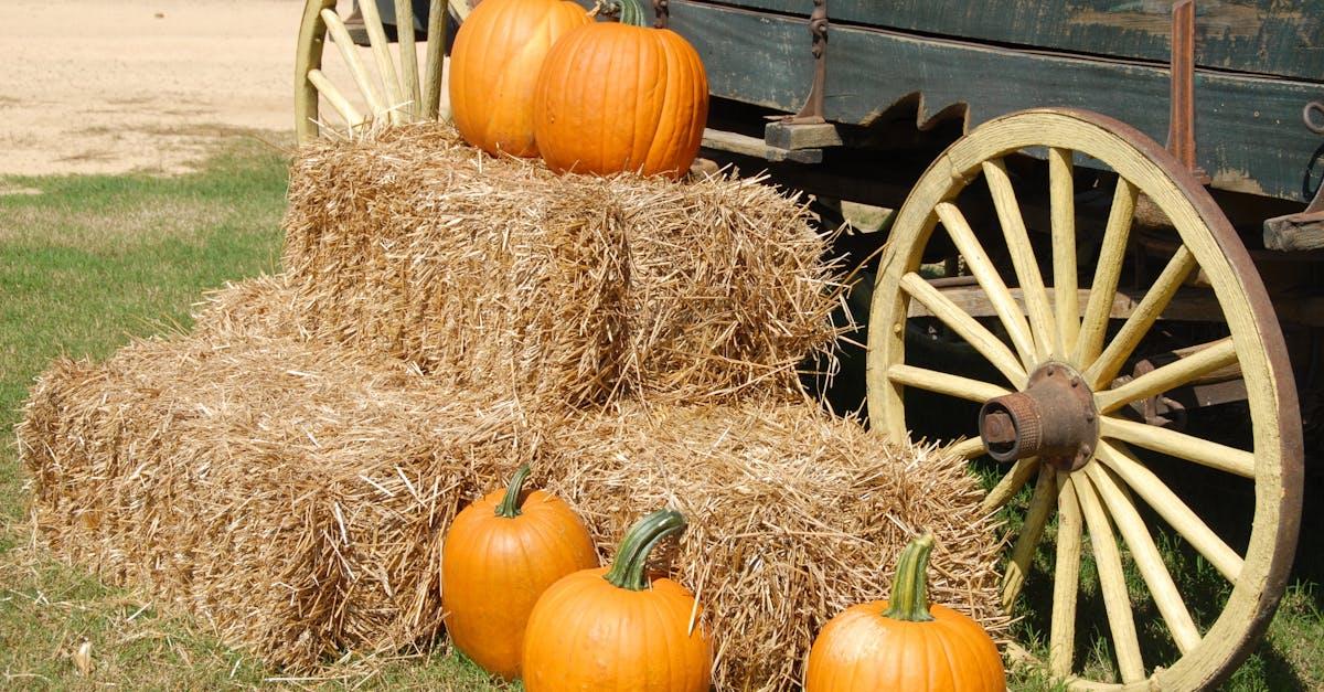 Kompostownik z desek impregnowanych? Zbuduj go bezpiecznie i na lata