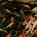 Oaza w weekend: oczko wodne z pompą cyrkulacyjną – przepis na krystaliczną wodę i relaks w ogrodzie