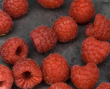 Maliny bez szarej pleśni: ekologiczne metody, które naprawdę działają