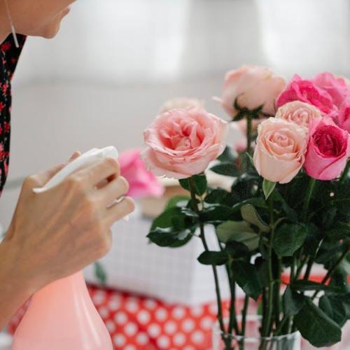 Ratuj rabaty! Skuteczne i bezpieczne metody na opuchlaki wśród kwiatów