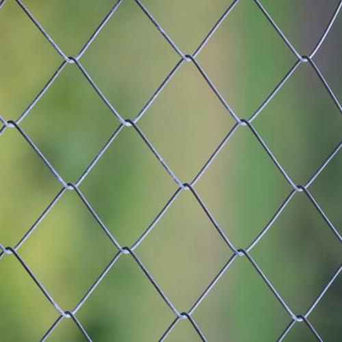 Stal rosnąca z zielenią: 12 pomysłów na pergole z ocynkowanego drutu, które zachwycą i przetrwają lata