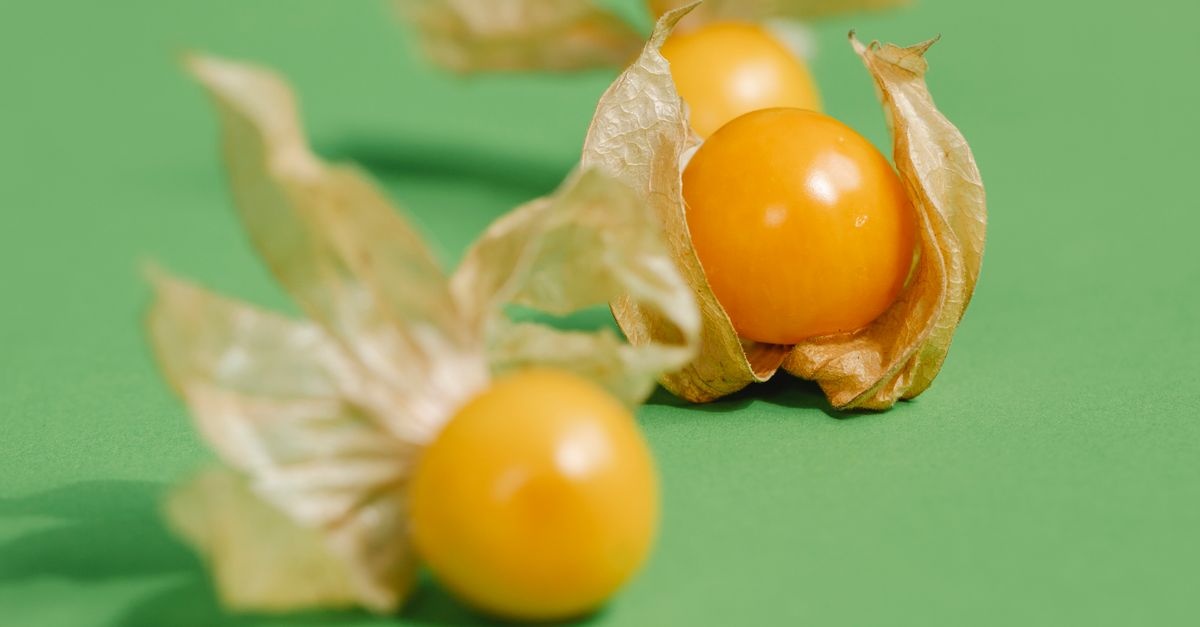 Owocowa ściana bez kolców: prowadzenie agrestu w szpalerze krok po kroku
